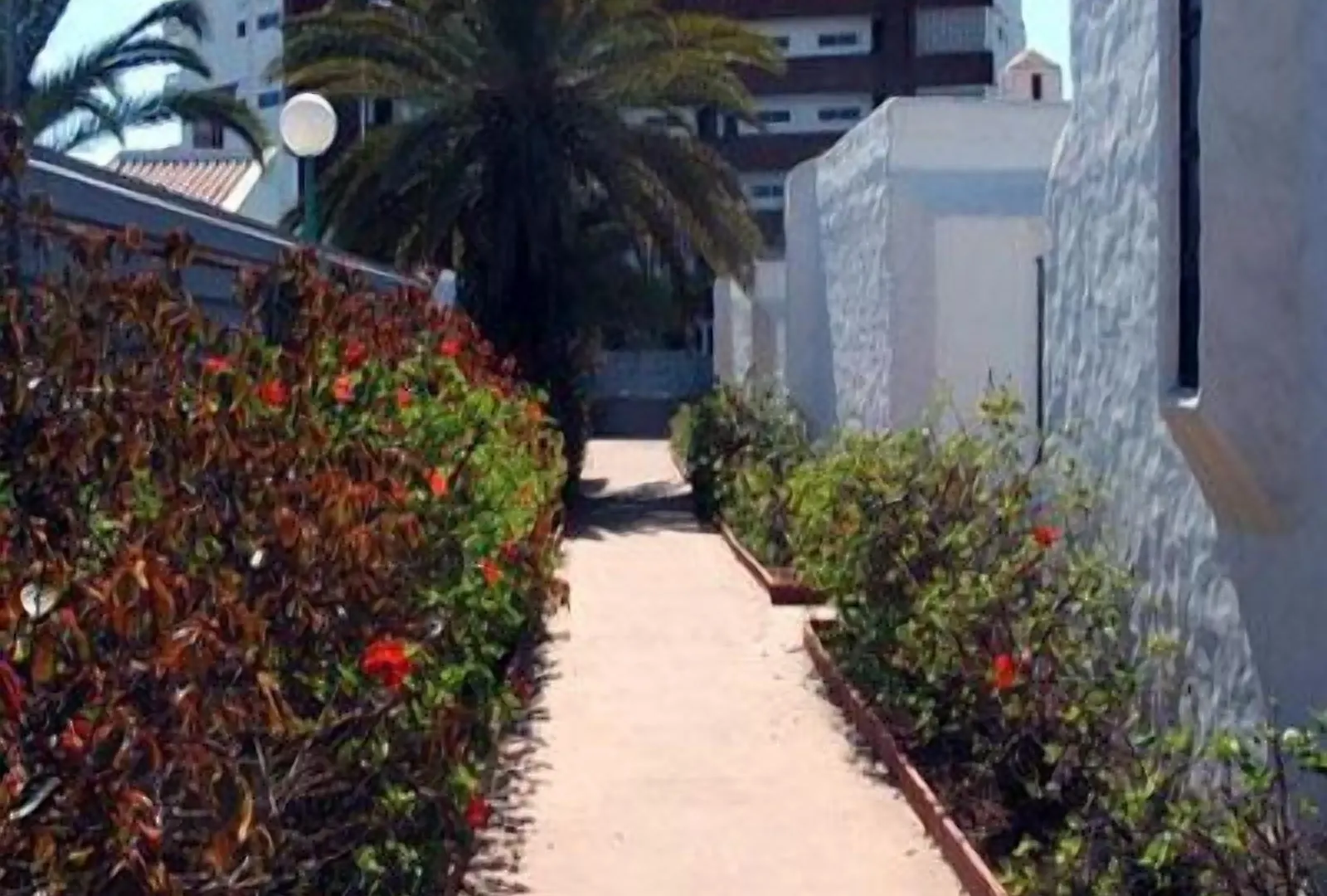Bungalows Tenesoya Gay Men Only Playa del Inglés